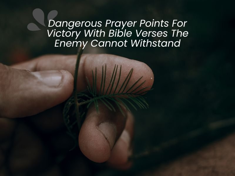 Dangerous Prayer Points For Victory With Bible Verses The Enemy Cannot Withstand